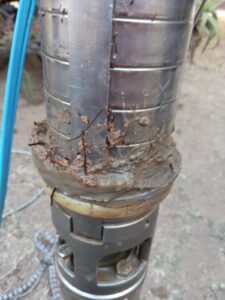 WhatsApp Image 2026-03-13 at 11.03.00 (2)